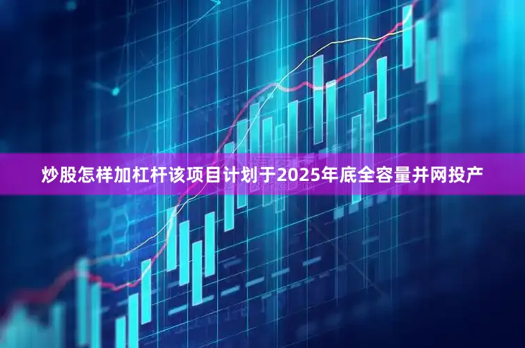 炒股怎样加杠杆该项目计划于2025年底全容量并网投产