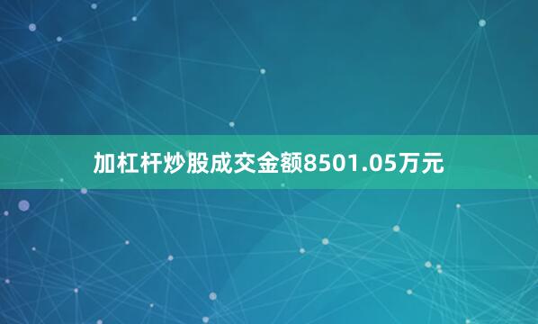 加杠杆炒股成交金额8501.05万元