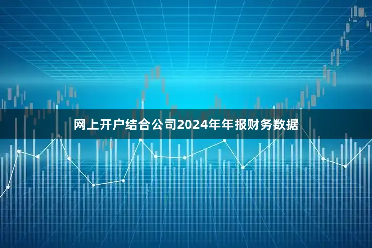 网上开户结合公司2024年年报财务数据