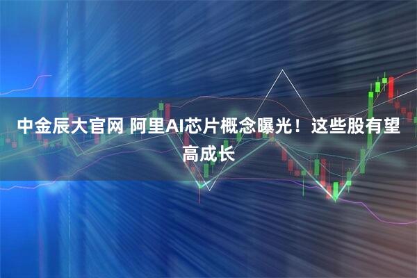 中金辰大官网 阿里AI芯片概念曝光！这些股有望高成长