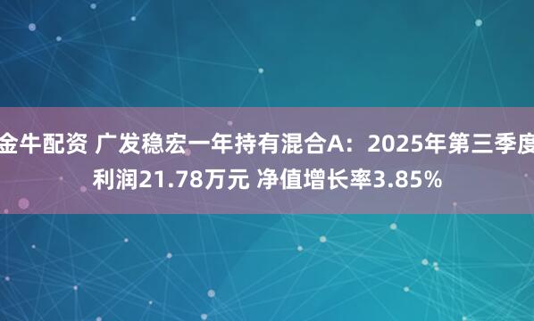 金牛配资 广发稳宏一年持有混合A：2025年第三季度利润21.78万元 净值增长率3.85%