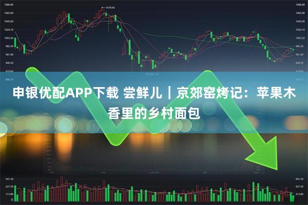 申银优配APP下载 尝鲜儿｜京郊窑烤记：苹果木香里的乡村面包