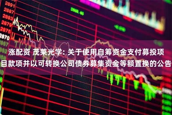 涨配资 茂莱光学: 关于使用自筹资金支付募投项目款项并以可转换公司债券募集资金等额置换的公告