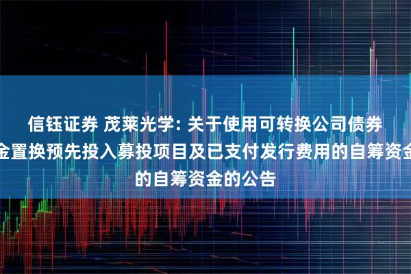 信钰证券 茂莱光学: 关于使用可转换公司债券募集资金置换预先投入募投项目及已支付发行费用的自筹资金的公告