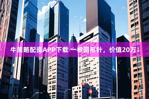 牛策略配资APP下载 一根回形针，价值20万！